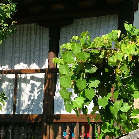 Penzion The Tinkov House In 2*