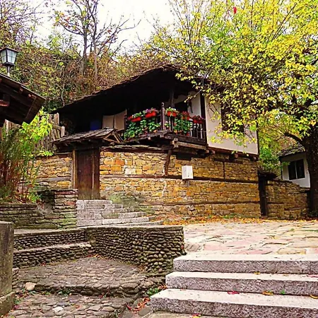 The Tinkov House In 洛维奇